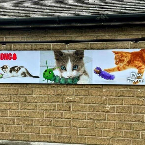 Pet Superstore Above Lit Banner