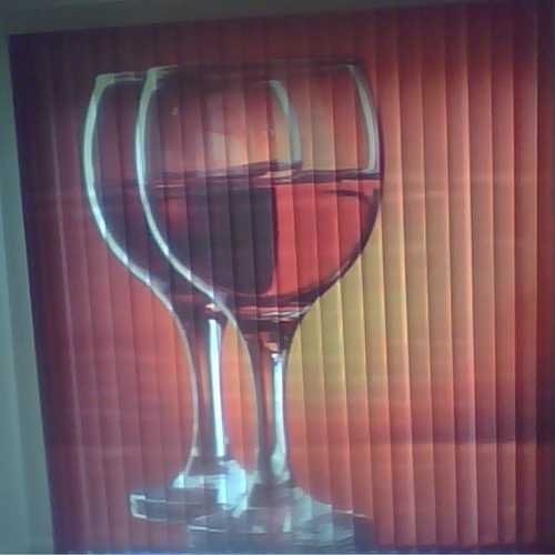 Wine Store Window Shades