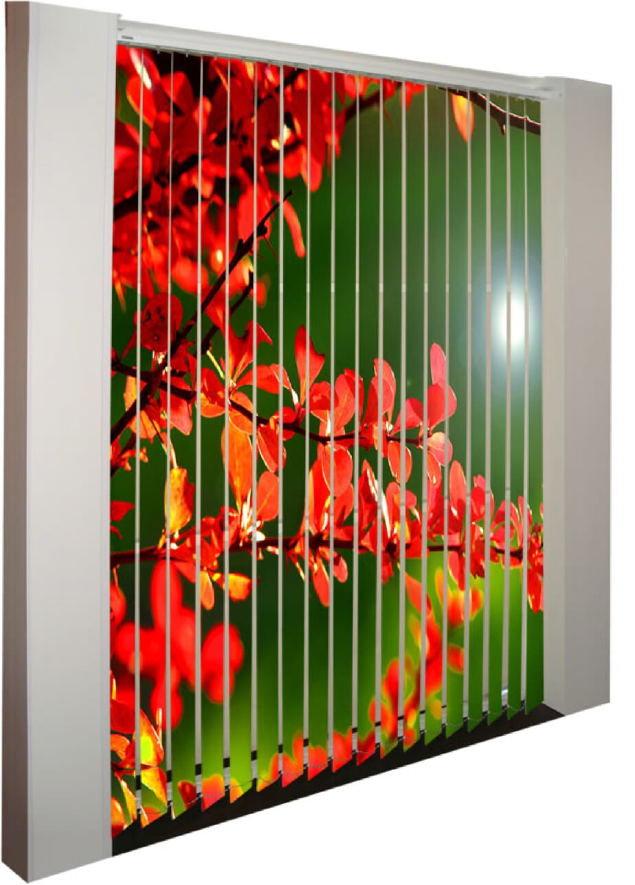 Customized Window Shades