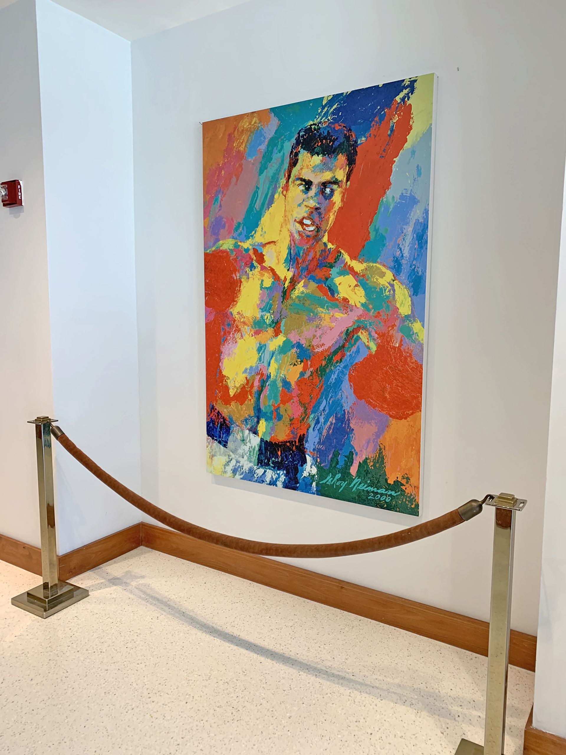 Fine Art Displays