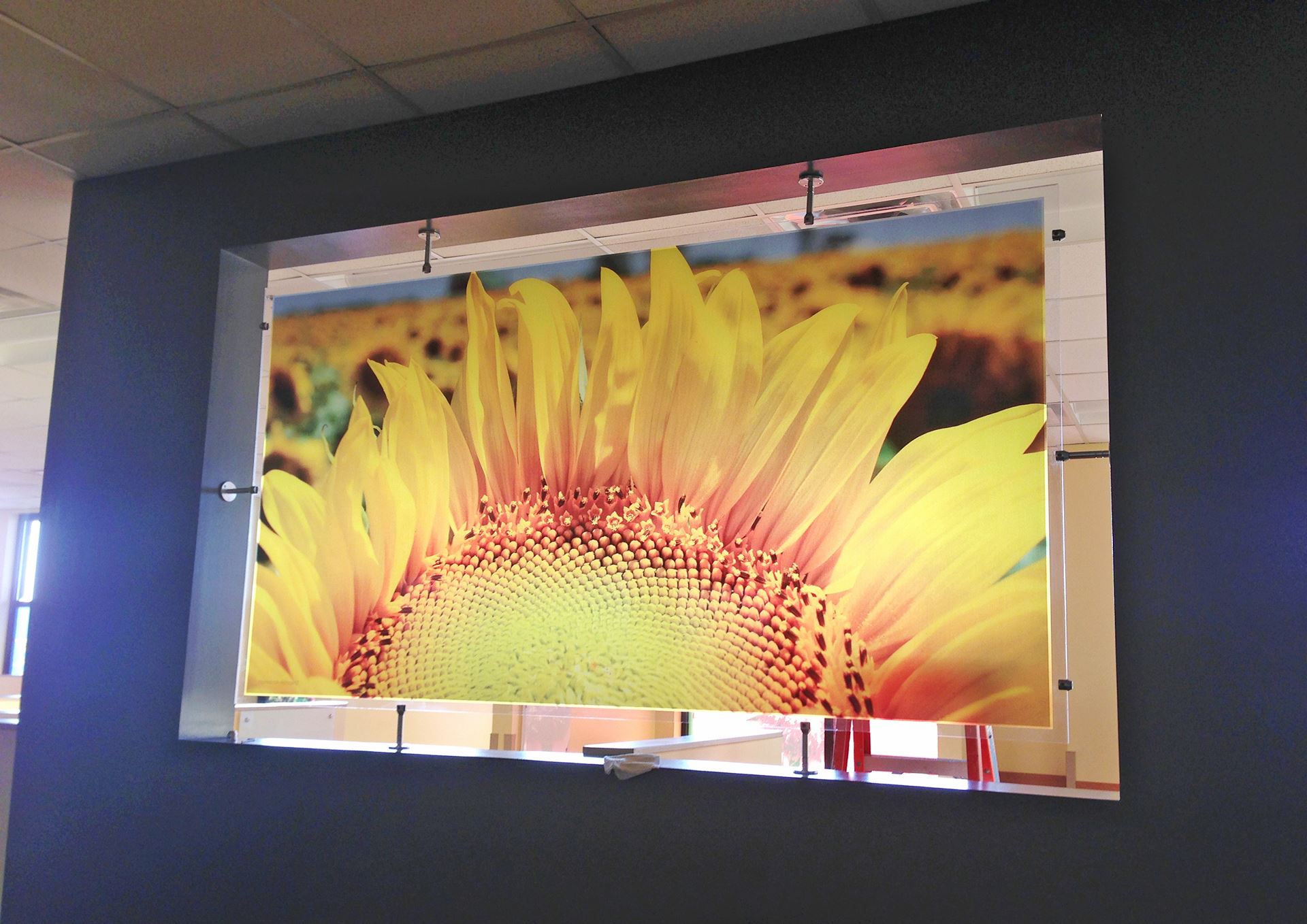 Fine Art Prints