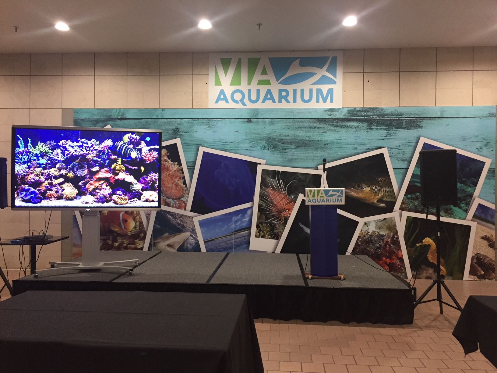 Aquarium Digital Display