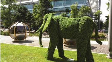 Elephant shaped plant trimming