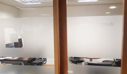 Frosted Vinyl Glass Door