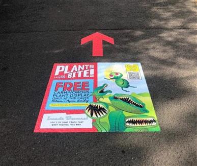 Royal Botanic Garden 2